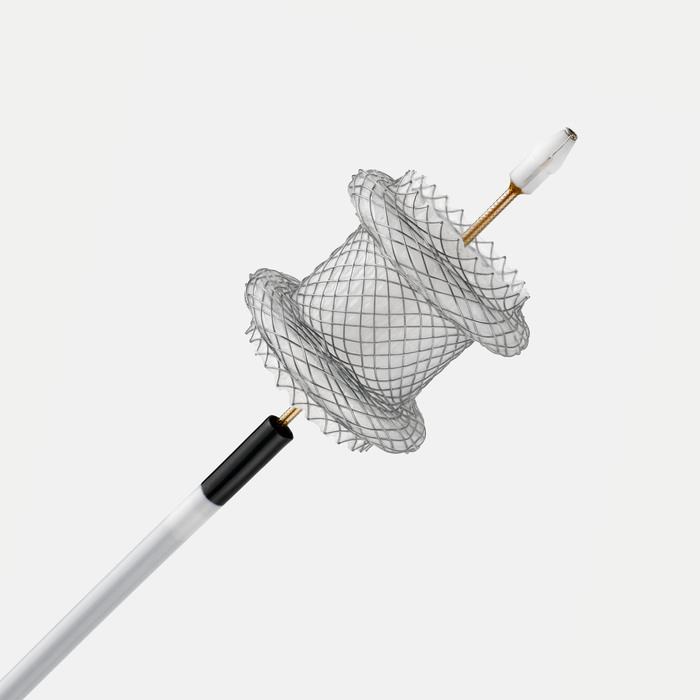 AXIOS™ Stent and Electrocautery Enhanced Delivery System 10mmx10mm