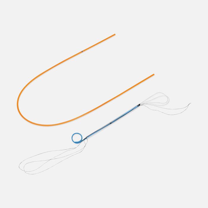 Polaris Loop Ureteral Stent