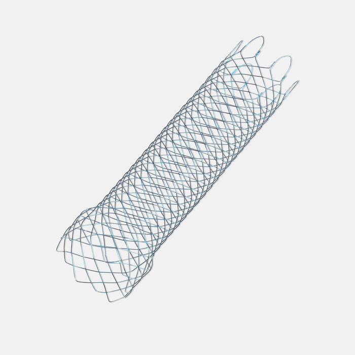 WallFlex™ Enteral Duodenal Stent 27/22x9 230cm